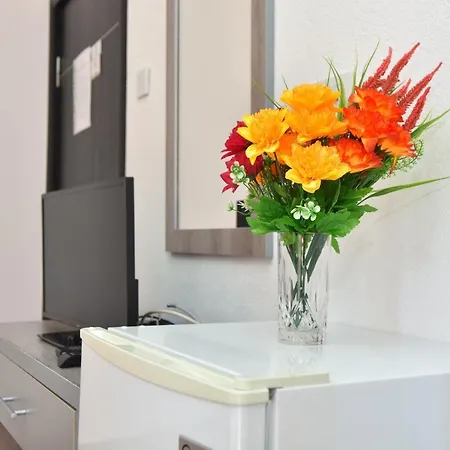 Ksenia Duletic Apartament Budva